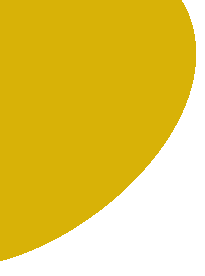 layer-31n